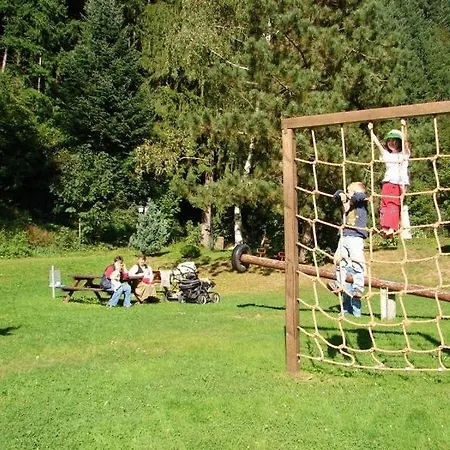 Gasthuis Gruener Hof Zell am Harmersbach