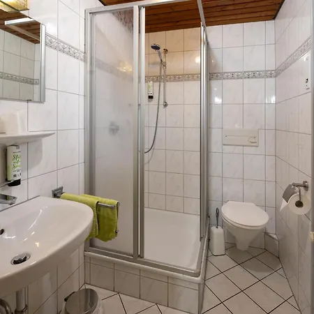Gasthuis Gruener Hof 3*