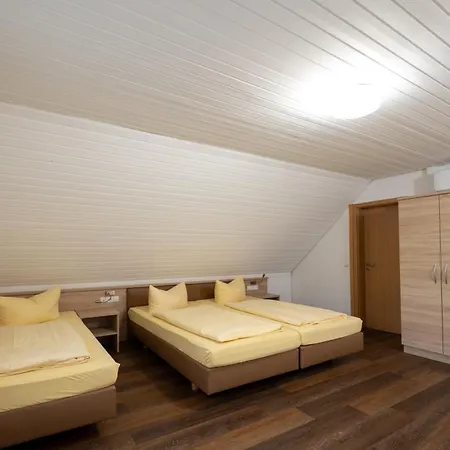 Gruener Hof 3* Zell am Harmersbach