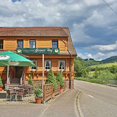 Guest house Gruener Hof 2*