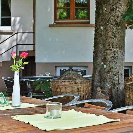 Gruener Hof 2* Zell am Harmersbach